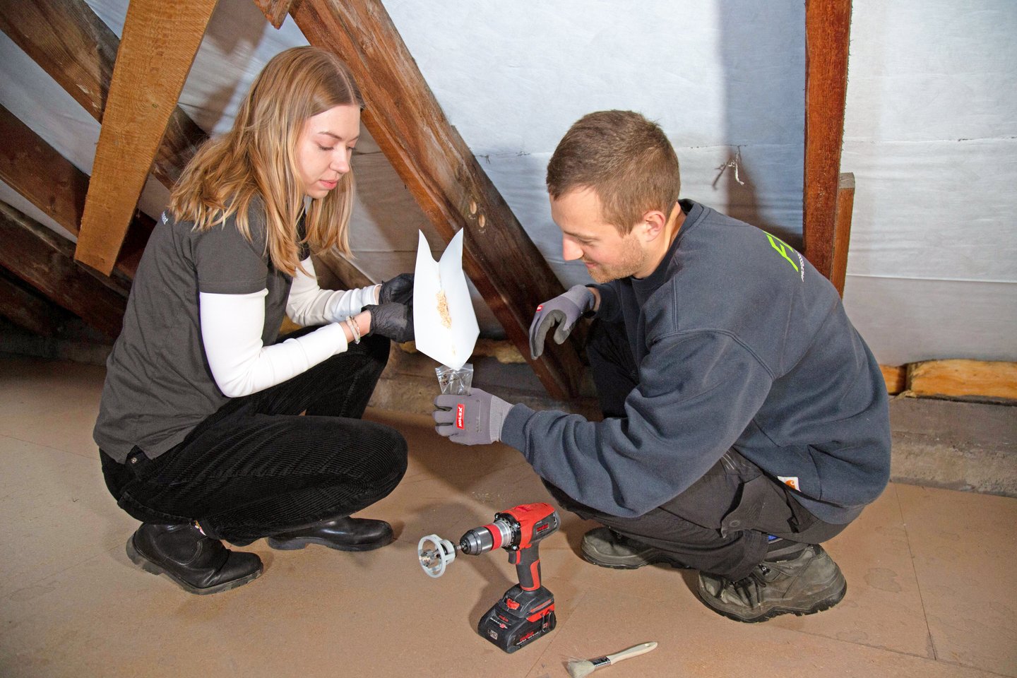 Kreislaufwirtschaft Zwei Forschende sammeln in Dachstuhl Holzproben in Behälter