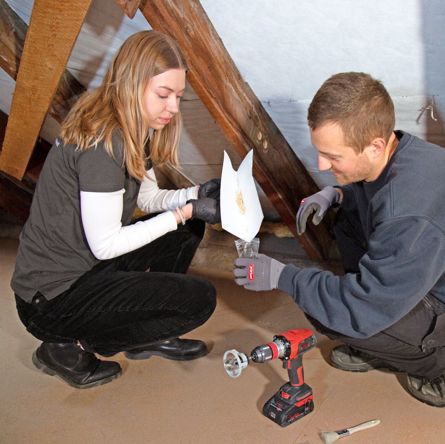 Zwei Forschende sammeln in Dachstuhl Holzproben in Behälter