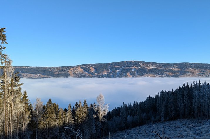 Blick von einem bewaldeten Berg auf ein Tal mit Wolkendecke