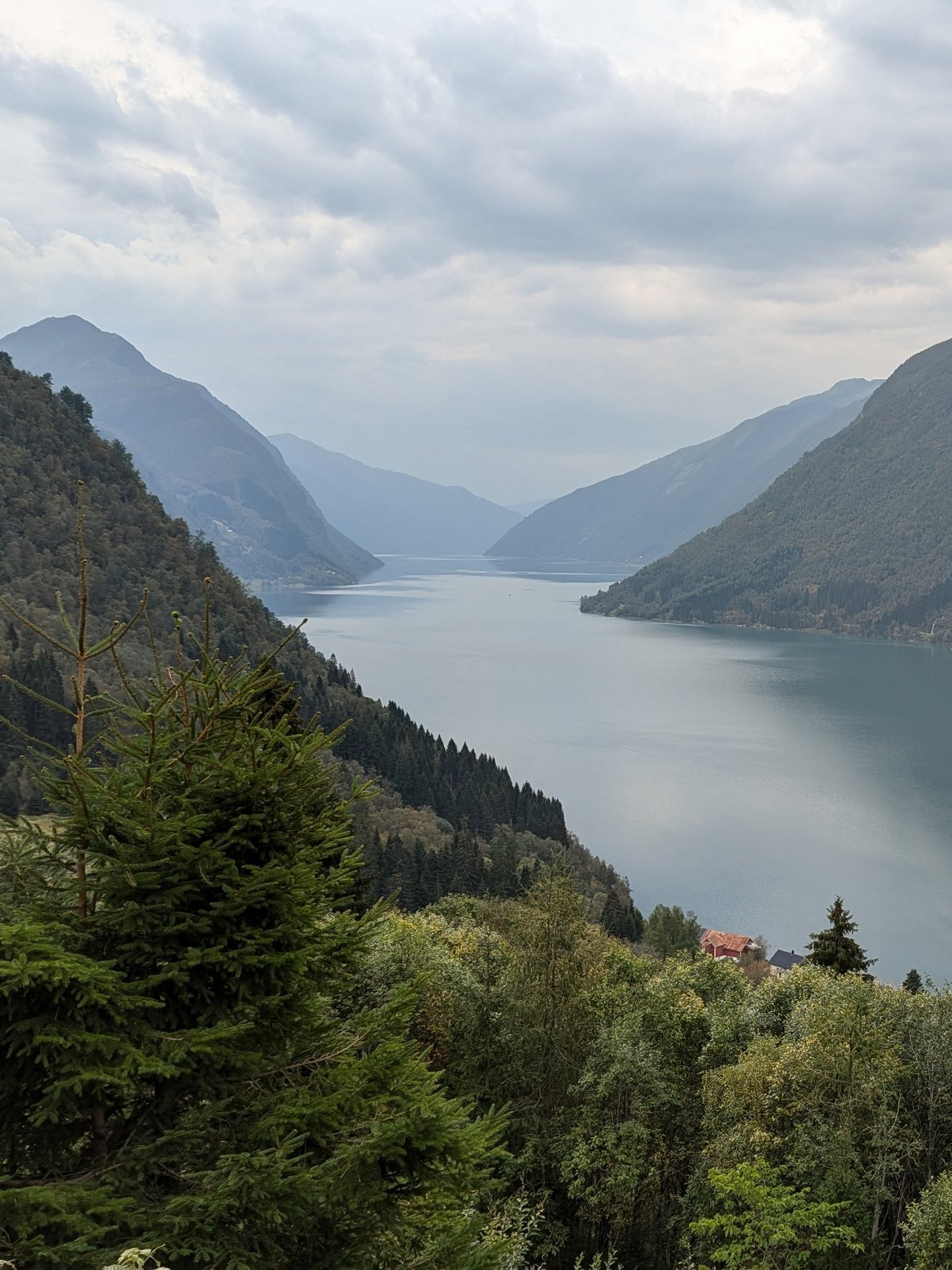 Ein Fjord mit umliegenden begrünten Bergen.