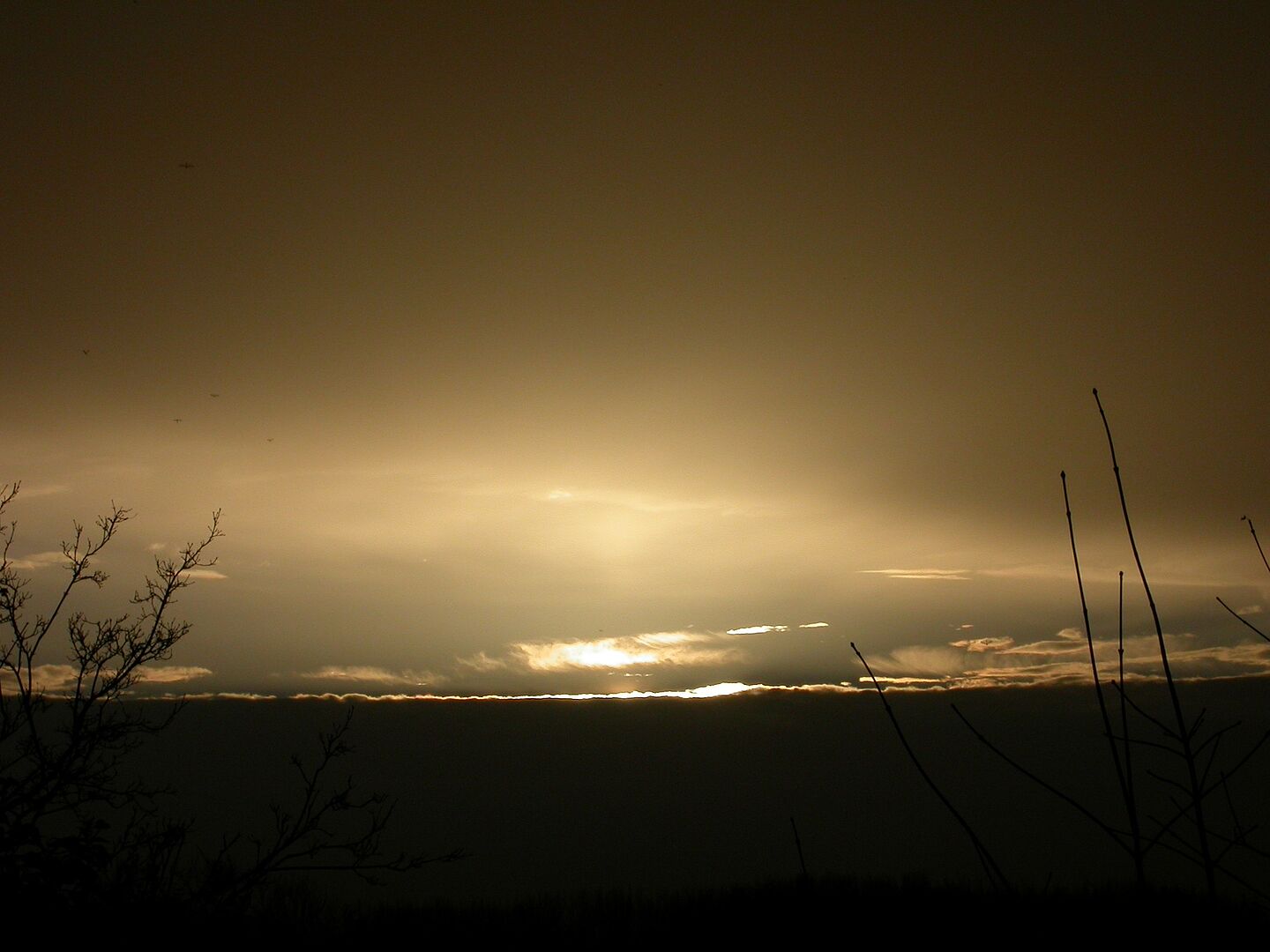 Es ist ein Sonnenuntergang in der Natur zu sehen. 