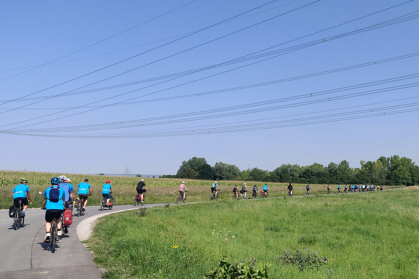 Gruppe von Radfahrerinnen und Radfahrern auf einer Landstraße bei sonnigem Wetter, umgeben von Wiesen.