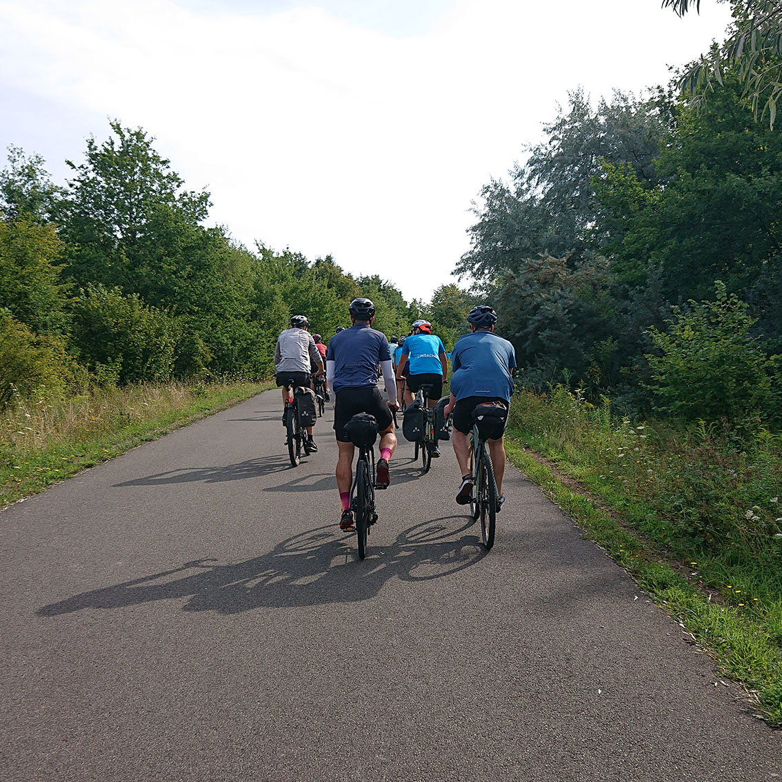 Ein Gruppe Radfahrer:innen von hinten auf einem Weg durch Bäume.